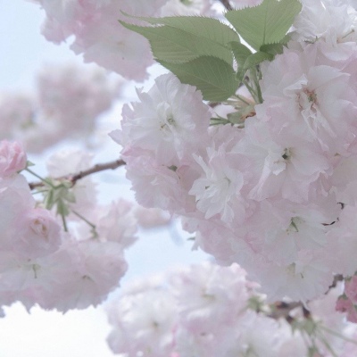 东西湖FurryQQ群介绍